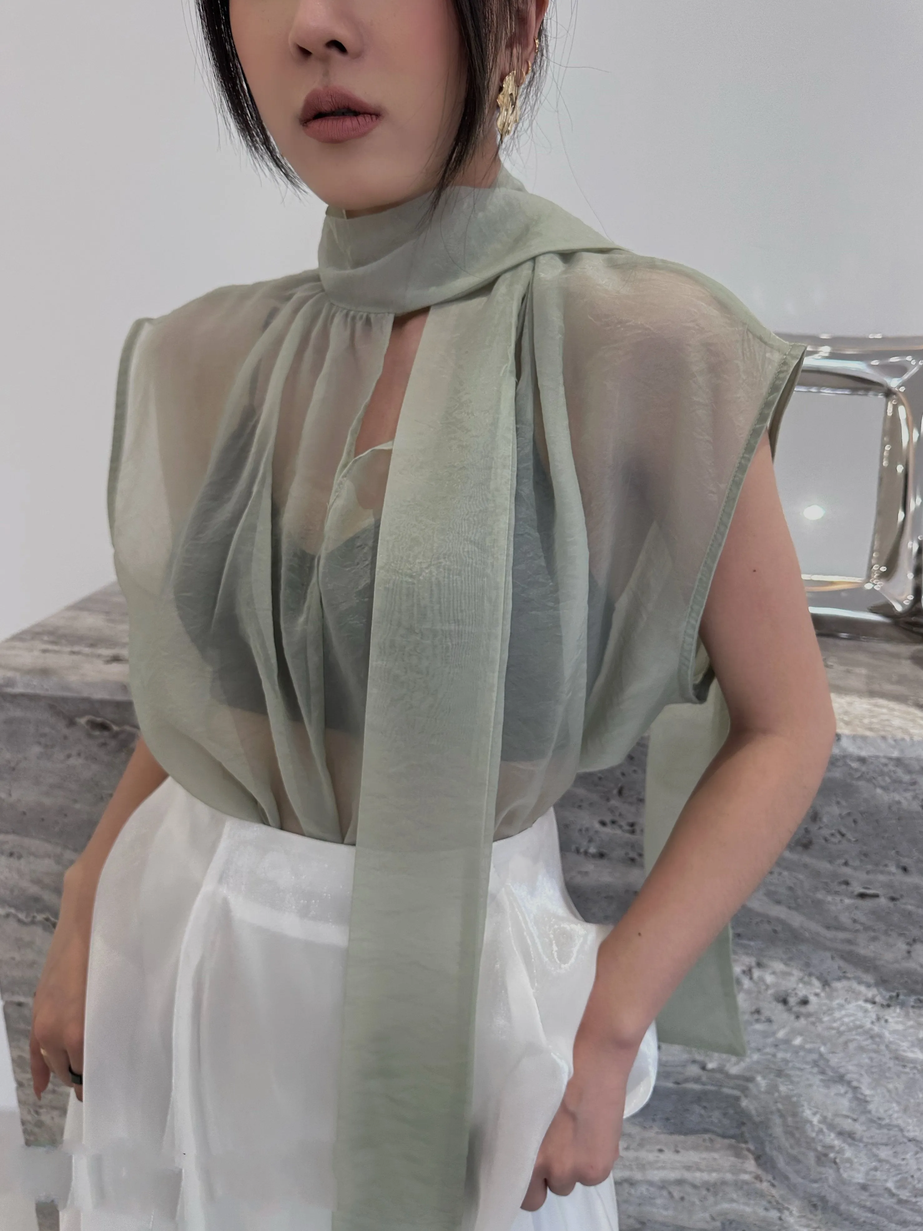 Chiffon Transparent Batwing Turtleneck Scarfed Outer