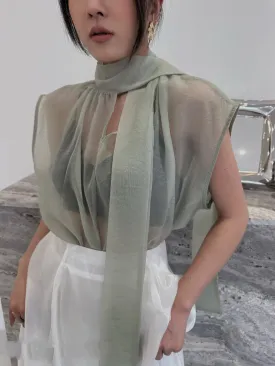 Chiffon Transparent Batwing Turtleneck Scarfed Outer
