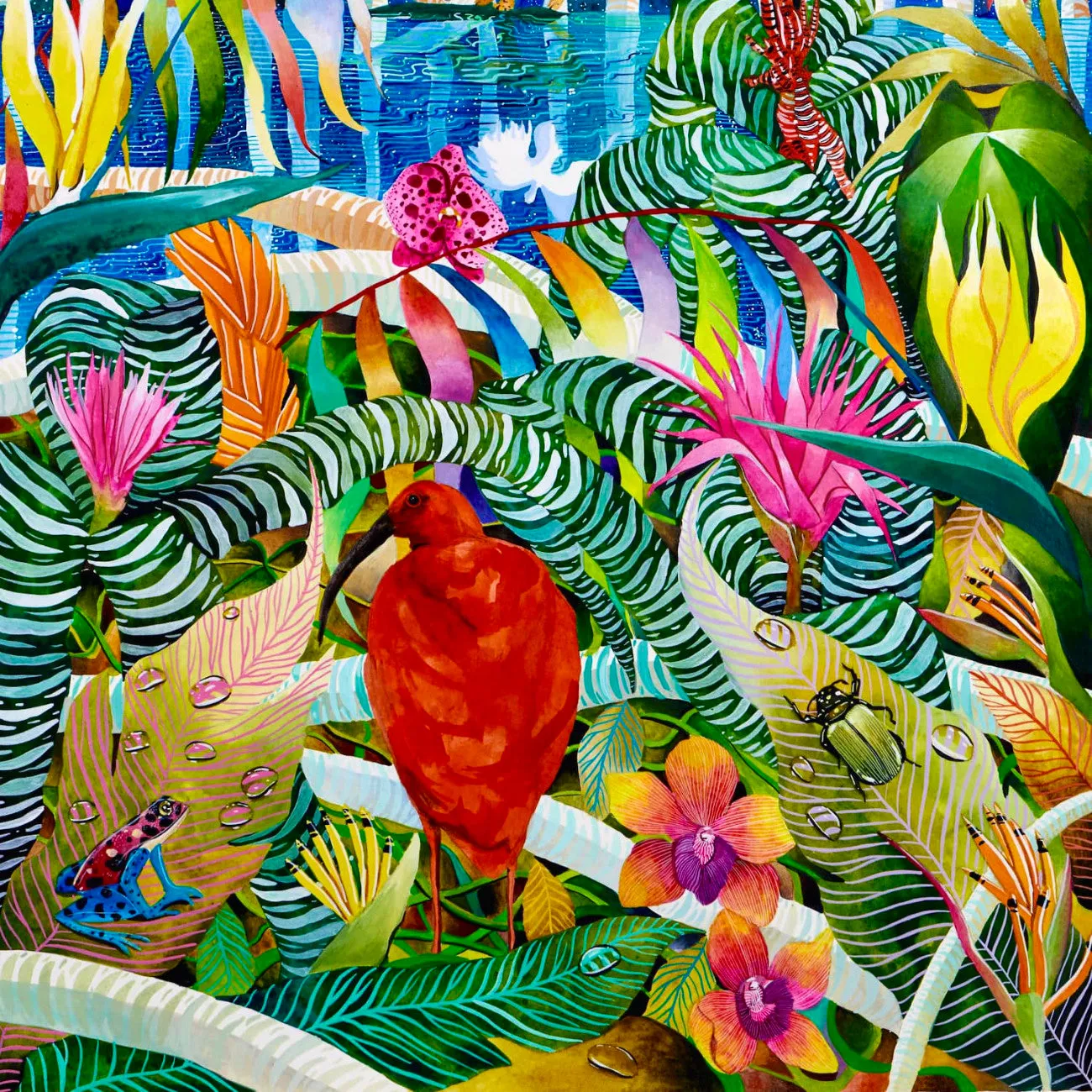 Red Ibis - Art Print